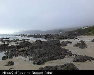 Mlhavý příjezd na Nugget Point